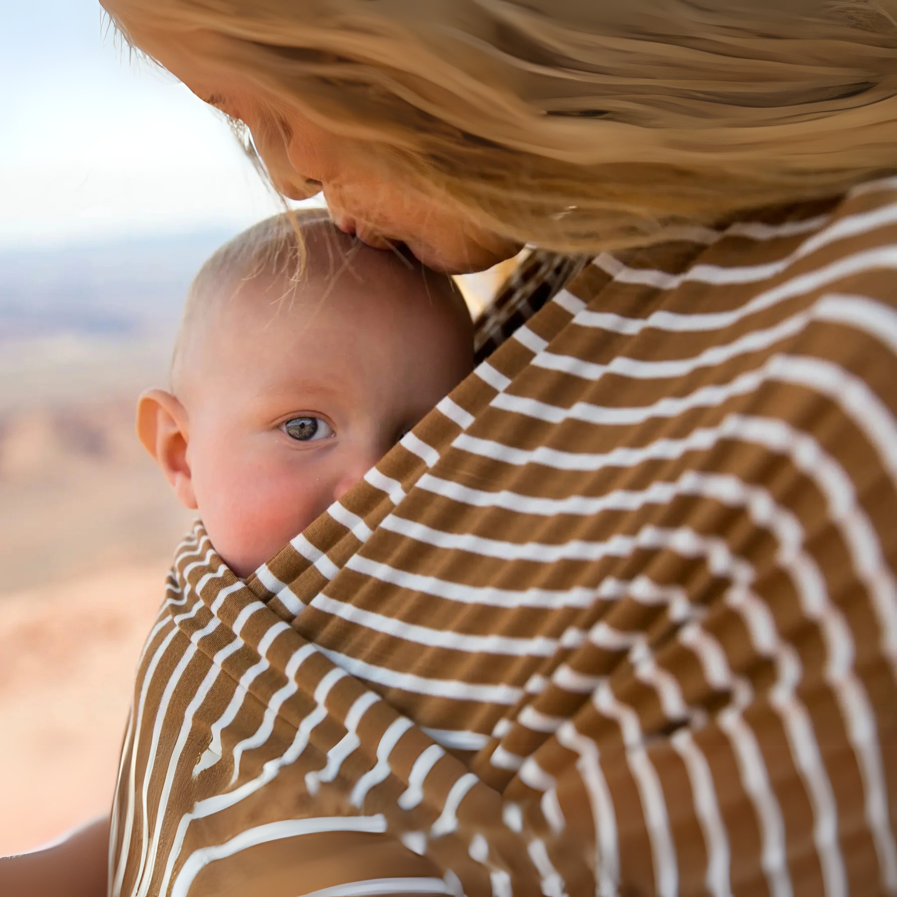 Äventyret med Bärsjalar: En Resa Genom Färg och Funktion