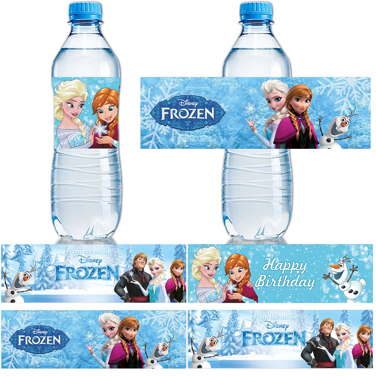 Frozen Vatten flaska