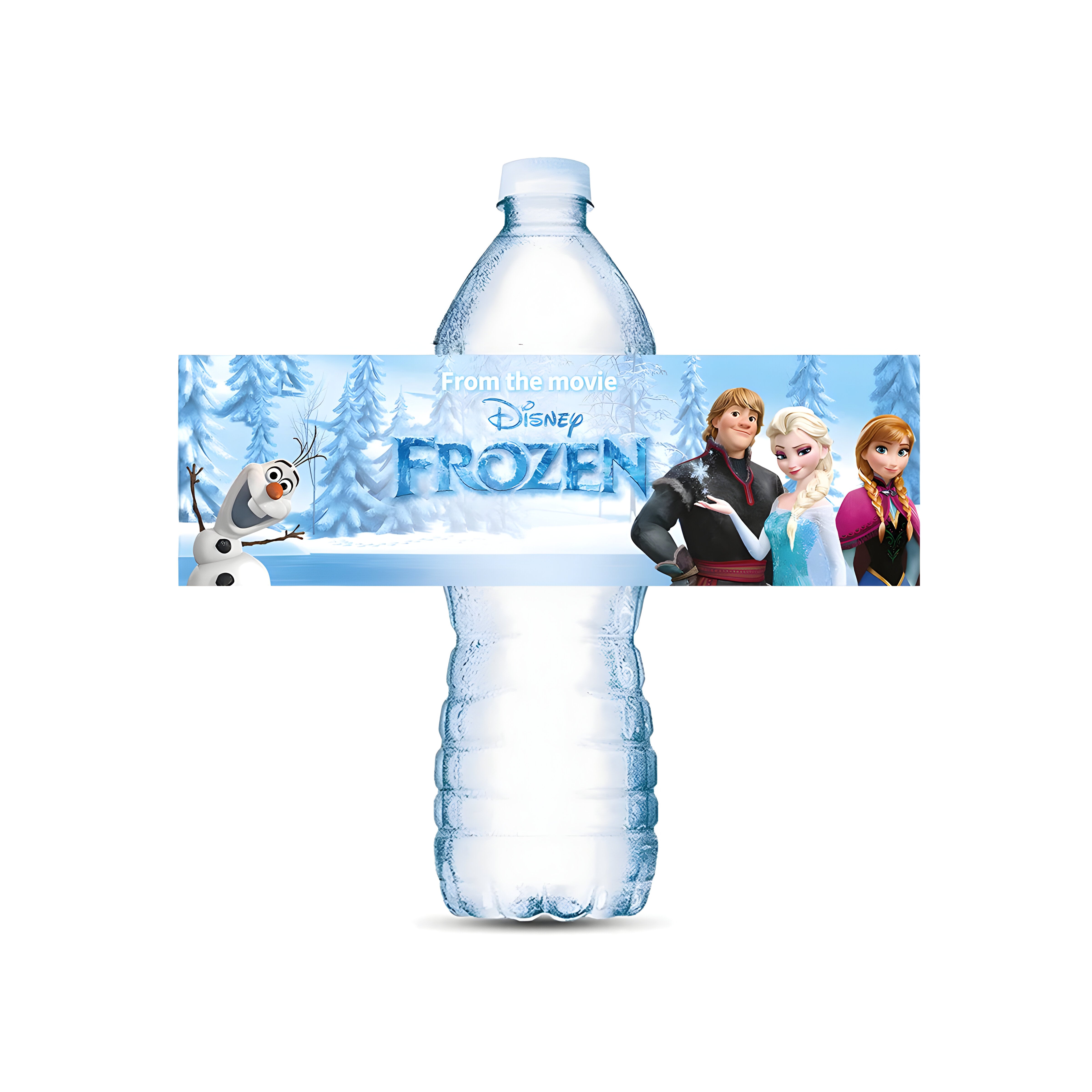 Frost Vattenflaska Stickers by LV